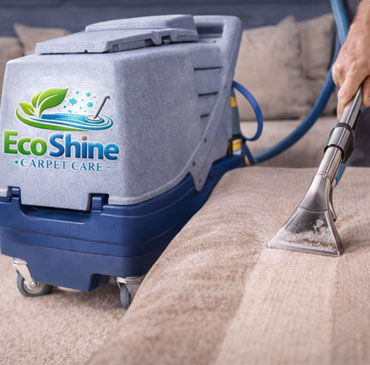 Pet urine stain removal and odor treatment Fresno